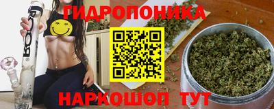 стаф Рязань