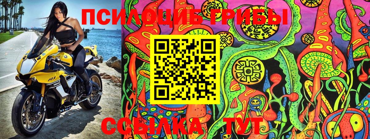Орёл  Галлюциногенные грибы GOLDEN TEACHER  Вход с VPN 